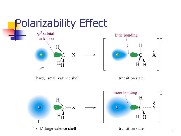 Polarizability Effect 25 
