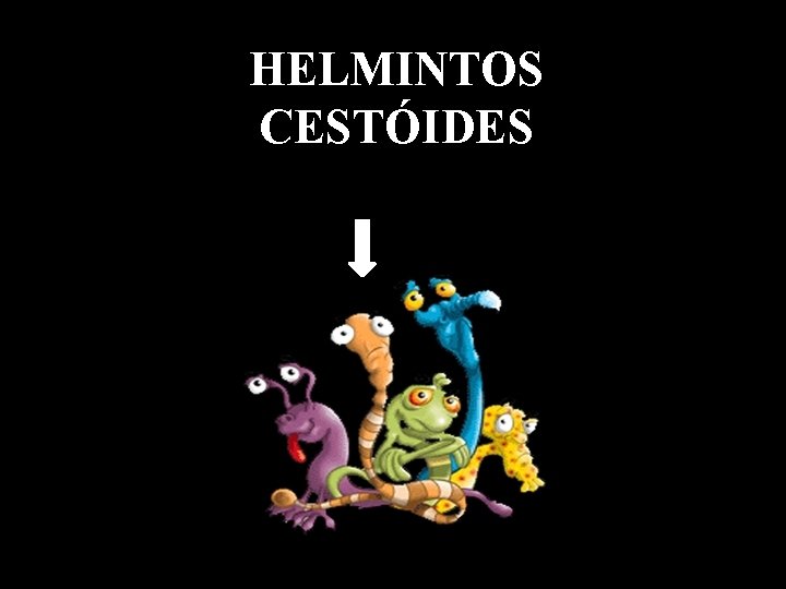 HELMINTOS CESTÓIDES 