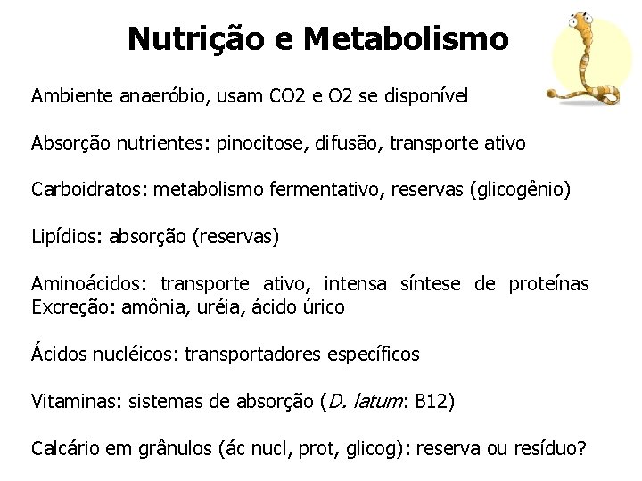 Nutrição e Metabolismo Ambiente anaeróbio, usam CO 2 e O 2 se disponível Absorção