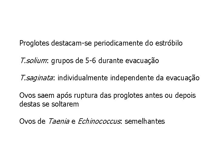 Proglotes destacam-se periodicamente do estróbilo T. solium: grupos de 5 -6 durante evacuação T.