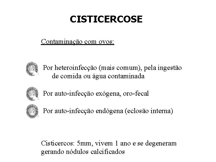 CISTICERCOSE Contaminação com ovos: Por heteroinfecção (mais comum), pela ingestão de comida ou água