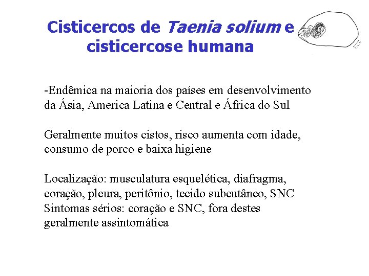Cisticercos de Taenia solium e cisticercose humana -Endêmica na maioria dos países em desenvolvimento