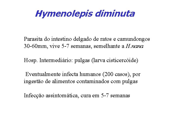 Hymenolepis diminuta Parasita do intestino delgado de ratos e camundongos 30 -60 mm, vive
