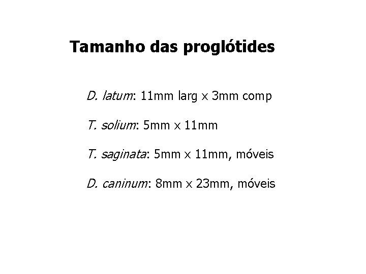 Tamanho das proglótides D. latum: 11 mm larg x 3 mm comp T. solium: