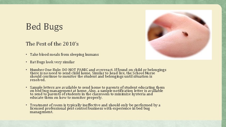 Bed Bugs The Pest of the 2010’s • Take blood meals from sleeping humans