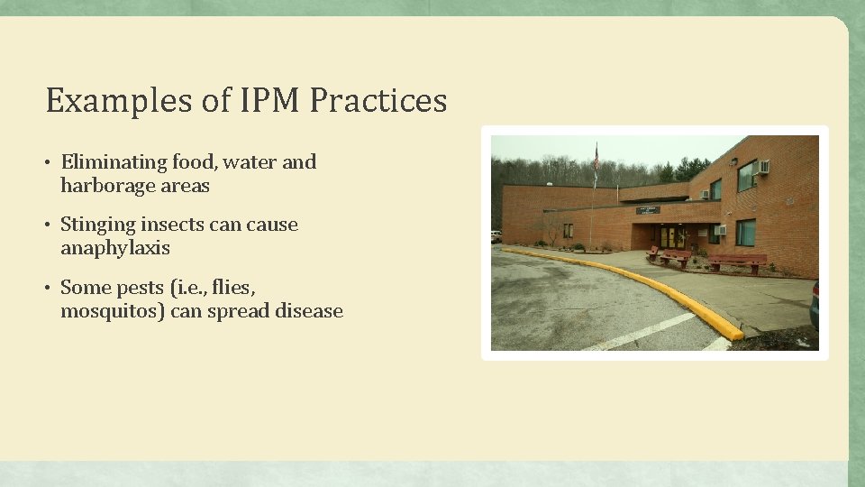 Examples of IPM Practices • Eliminating food, water and harborage areas • Stinging insects