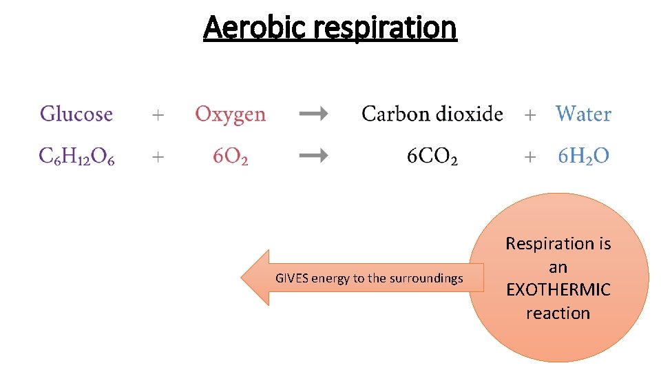 Aerobic respiration GIVES energy to the surroundings Respiration is an EXOTHERMIC reaction 