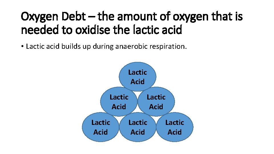 Oxygen Debt – the amount of oxygen that is needed to oxidise the lactic
