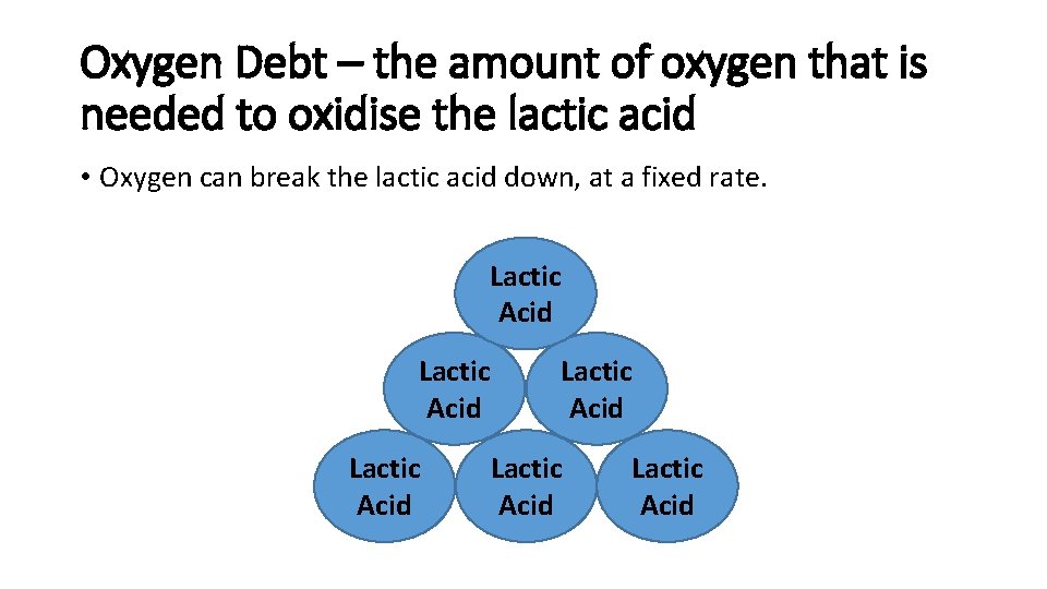 Oxygen Debt – the amount of oxygen that is needed to oxidise the lactic