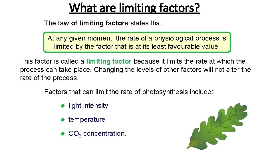 What are limiting factors? The law of limiting factors states that: At any given