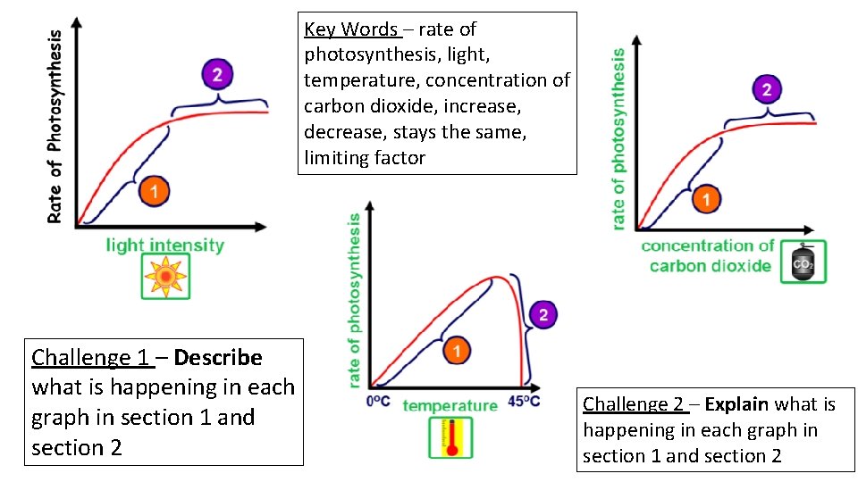 Key Words – rate of photosynthesis, light, temperature, concentration of carbon dioxide, increase, decrease,