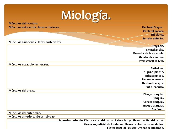 Miología. Músculos del hombro. Músculos axiopendiculares anteriores. Pectoral Mayor. Pectoral menor. Subclavio. Serrato anterior.