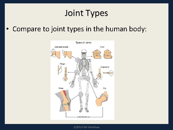 Joint Types • Compare to joint types in the human body: (C)2013 Roi Yehoshua