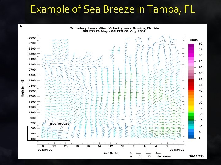 Example of Sea Breeze in Tampa, FL Example of Sea Breeze in Tampa, FL