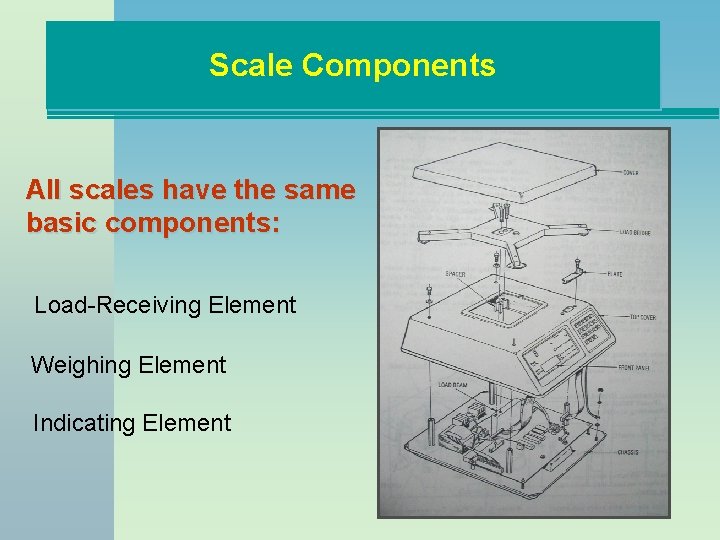 Scale Components All scales have the same basic components: Load-Receiving Element Weighing Element Indicating