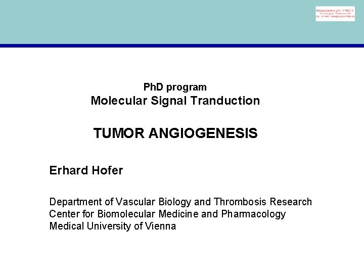 Ph. D program Molecular Signal Tranduction TUMOR ANGIOGENESIS Erhard Hofer Department of Vascular Biology