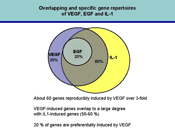 Overlapping and specific gene repertoires of VEGF, EGF and IL-1 VEGF 20% 60% IL-1