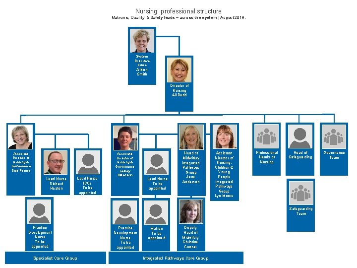 Nursing: professional structure Matrons, Quality & Safety leads – across the system | August