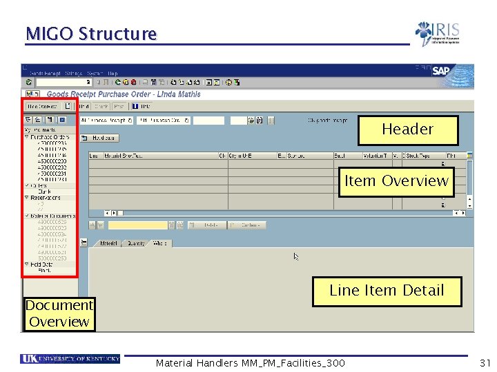 MIGO Structure Header Item Overview Document Overview Line Item Detail Material Handlers MM_PM_Facilities_300 31