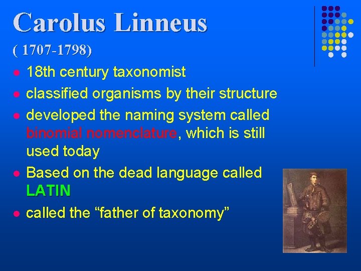 Carolus Linneus ( 1707 -1798) l 18 th century taxonomist l classified organisms by