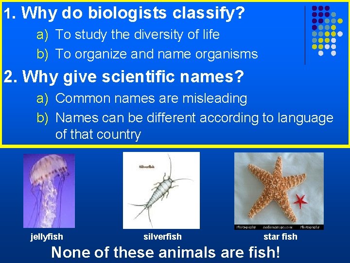 1. Why do biologists classify? a) To study the diversity of life b) To