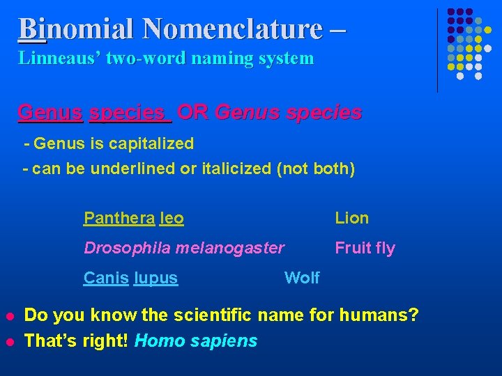 Binomial Nomenclature – Linneaus’ two-word naming system Genus species OR Genus species - Genus