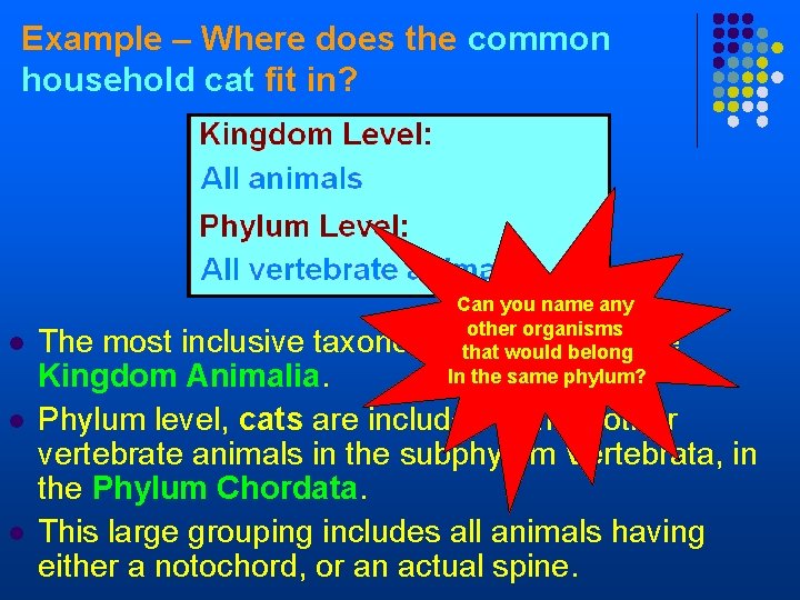 Example – Where does the common household cat fit in? l l l Can