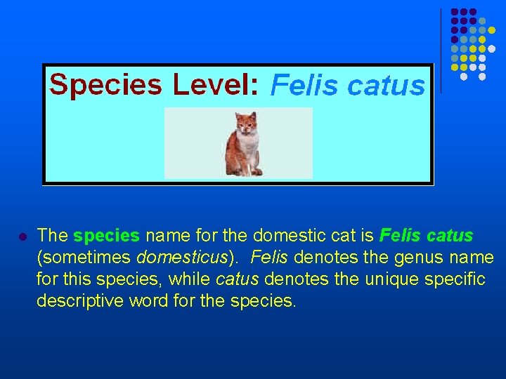 l The species name for the domestic cat is Felis catus (sometimes domesticus). Felis