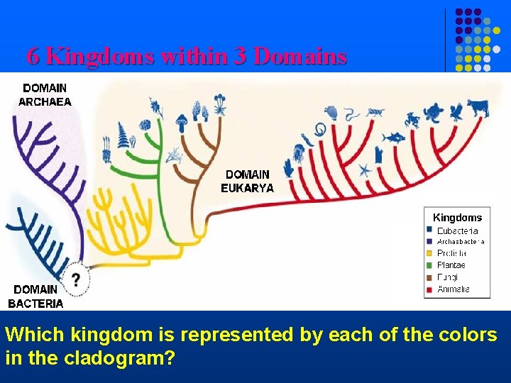 6 Kingdoms within 3 Domains Which kingdom is represented by each of the colors