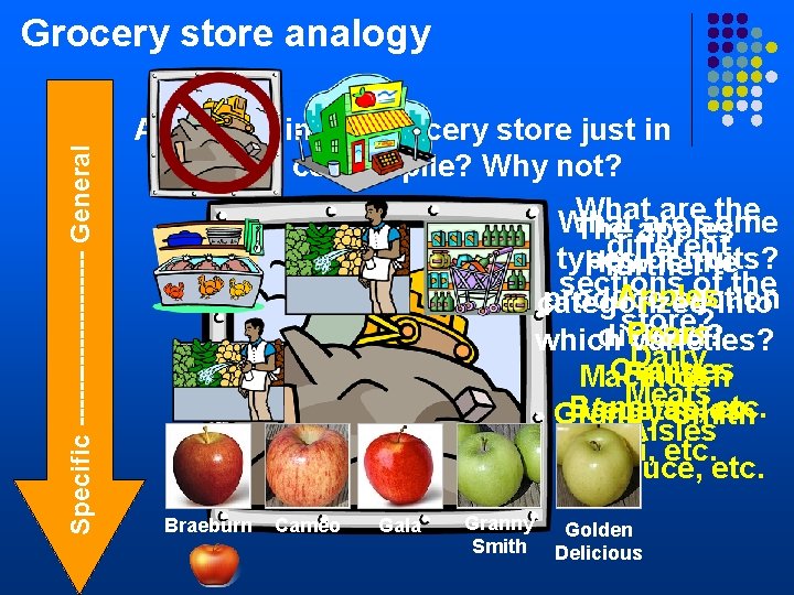 Specific ---------- General Grocery store analogy Are items in the grocery store just in