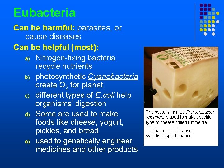 Eubacteria Can be harmful: parasites, or cause diseases Can be helpful (most): a) Nitrogen-fixing