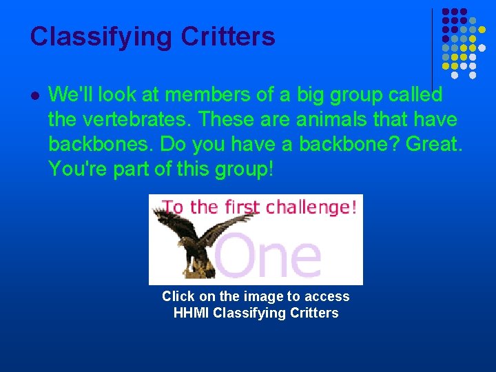 Classifying Critters l We'll look at members of a big group called the vertebrates.