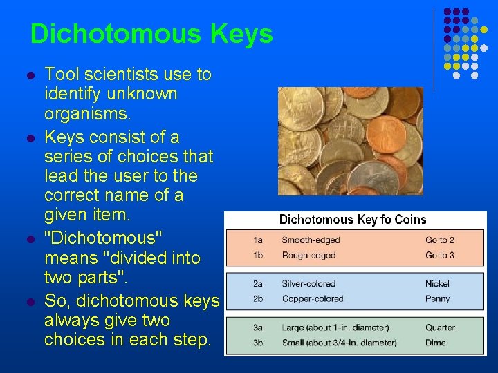 Dichotomous Keys l l Tool scientists use to identify unknown organisms. Keys consist of