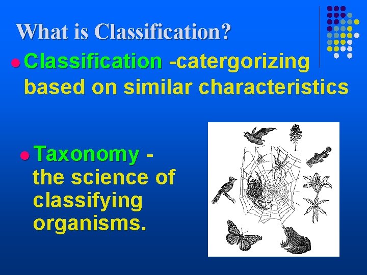 What is Classification? l Classification -catergorizing based on similar characteristics l Taxonomy the science