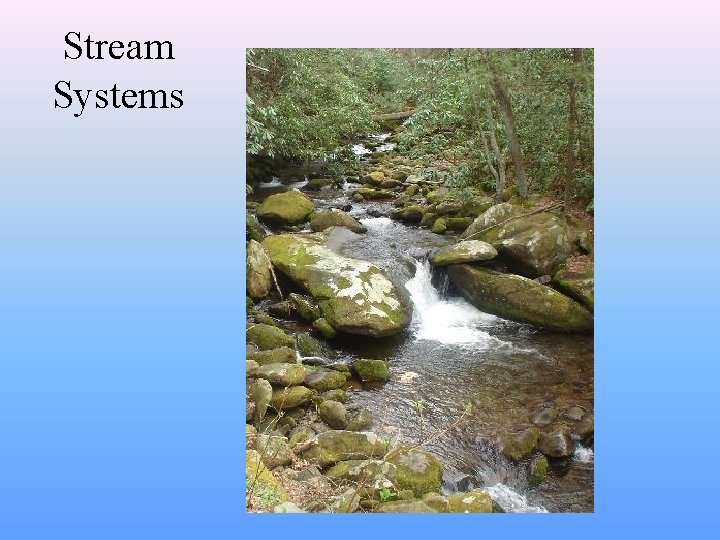 Stream Systems 