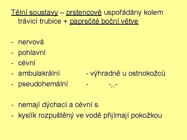 Tělní soustavy – prstencově uspořádány kolem trávicí trubice + paprsčité boční větve - nervová