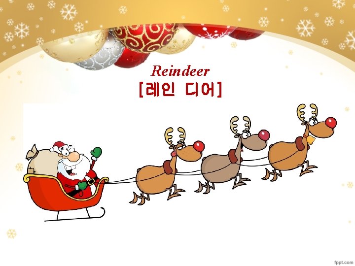 Reindeer [레인 디어] 