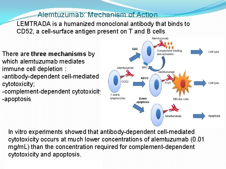 Alemtuzumab: Mechanism of Action LEMTRADA is a humanized monoclonal antibody that binds to CD