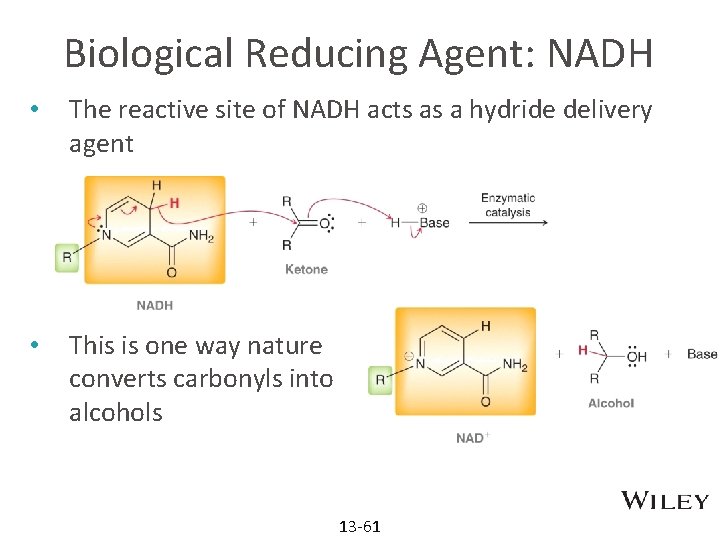 Biological Reducing Agent: NADH • The reactive site of NADH acts as a hydride