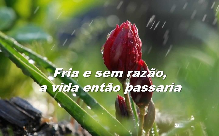 Fria e sem razão, a vida então passaria 