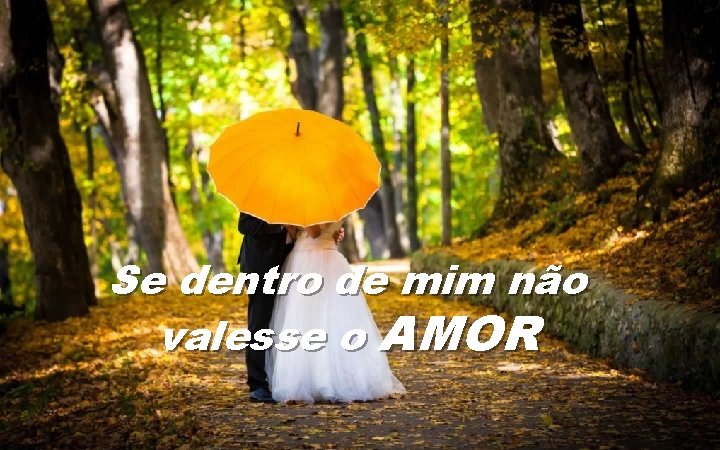Se dentro de mim não valesse o AMOR 