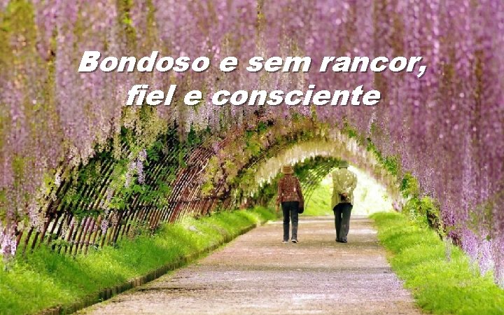 Bondoso e sem rancor, fiel e consciente 