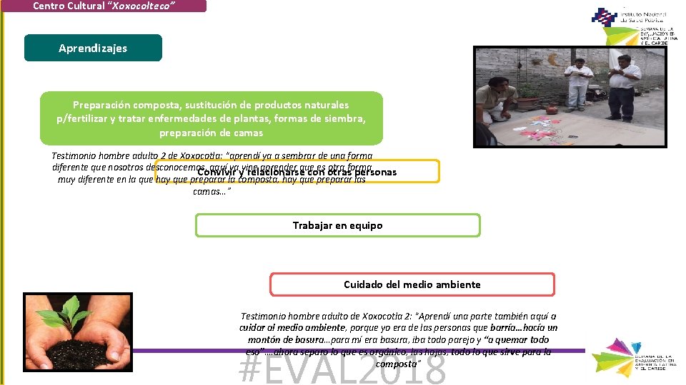 Centro Cultural “Xoxocolteco” Aprendizajes Preparación composta, sustitución de productos naturales Aspectos técnicos de agricultura