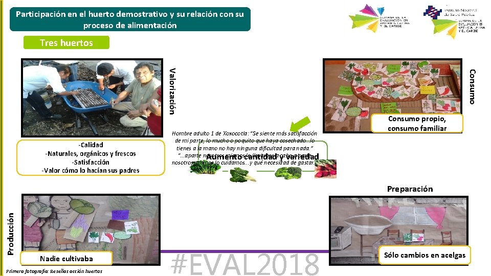 Participación en el huerto demostrativo y su relación con su proceso de alimentación Tres