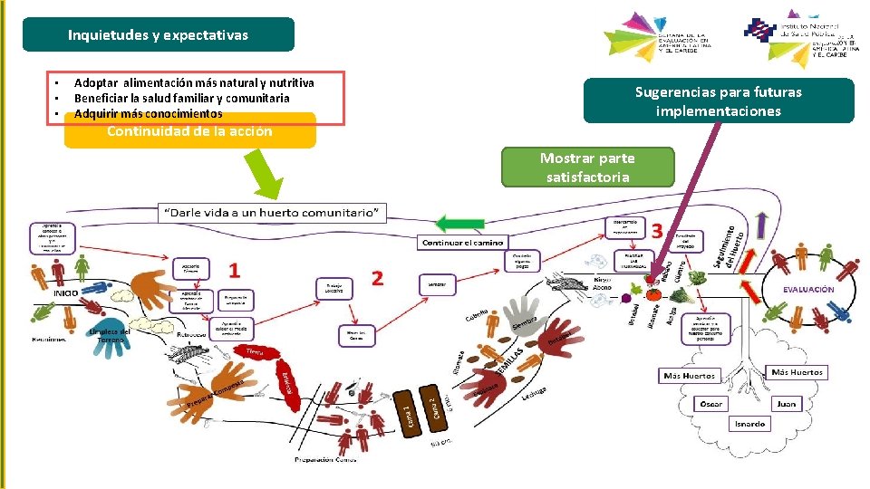 Inquietudes y expectativas • • • Adoptar alimentación más natural y nutritiva Beneficiar la