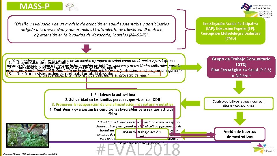 MASS-P “Diseño y evaluación de un modelo de atención en salud sustentable y participativo