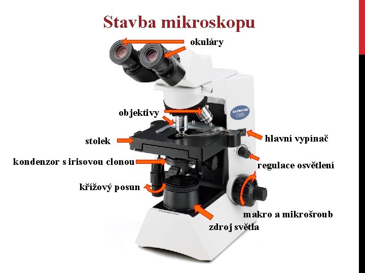 Stavba mikroskopu okuláry objektivy stolek kondenzor s irisovou clonou hlavní vypínač regulace osvětlení křížový