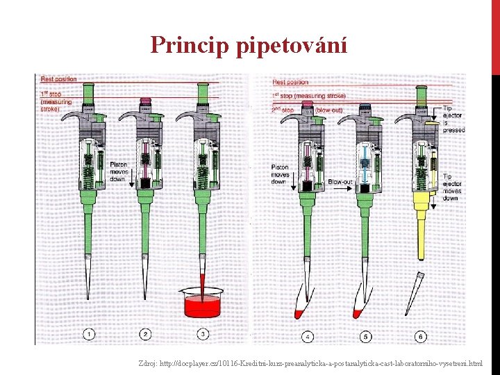 Princip pipetování Zdroj: http: //docplayer. cz/10116 -Kreditni-kurz-preanalyticka-a-postanalyticka-cast-laboratorniho-vysetreni. html Princip pipetování Zdroj: http: //docplayer. cz/10116 -Kreditni-kurz-preanalyticka-a-postanalyticka-cast-laboratorniho-vysetreni. html