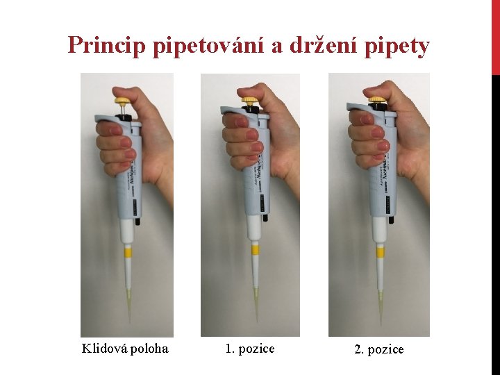 Princip pipetování a držení pipety Klidová poloha 1. pozice 2. pozice Princip pipetování a držení pipety Klidová poloha 1. pozice 2. pozice
