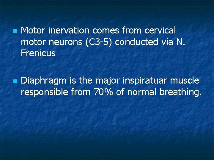 n n Motor inervation comes from cervical motor neurons (C 3 -5) conducted via